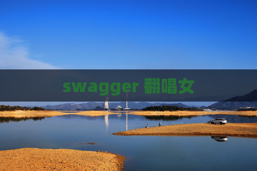 swagger 翻唱女